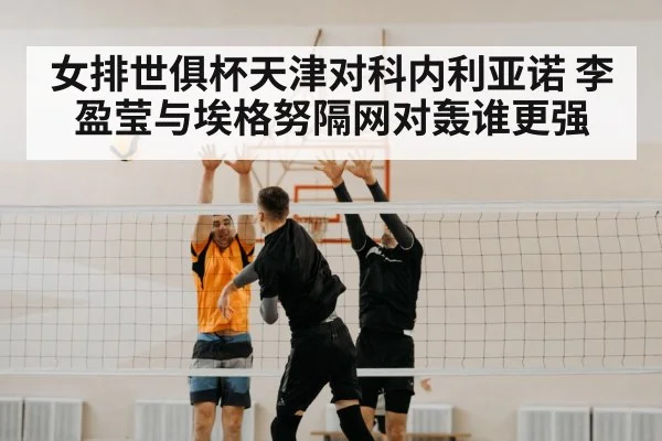 volleyball net block