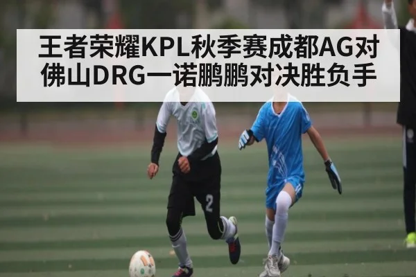 王者荣耀KPL秋季赛成都AG对佛山DRG一诺鹏鹏对决胜负手